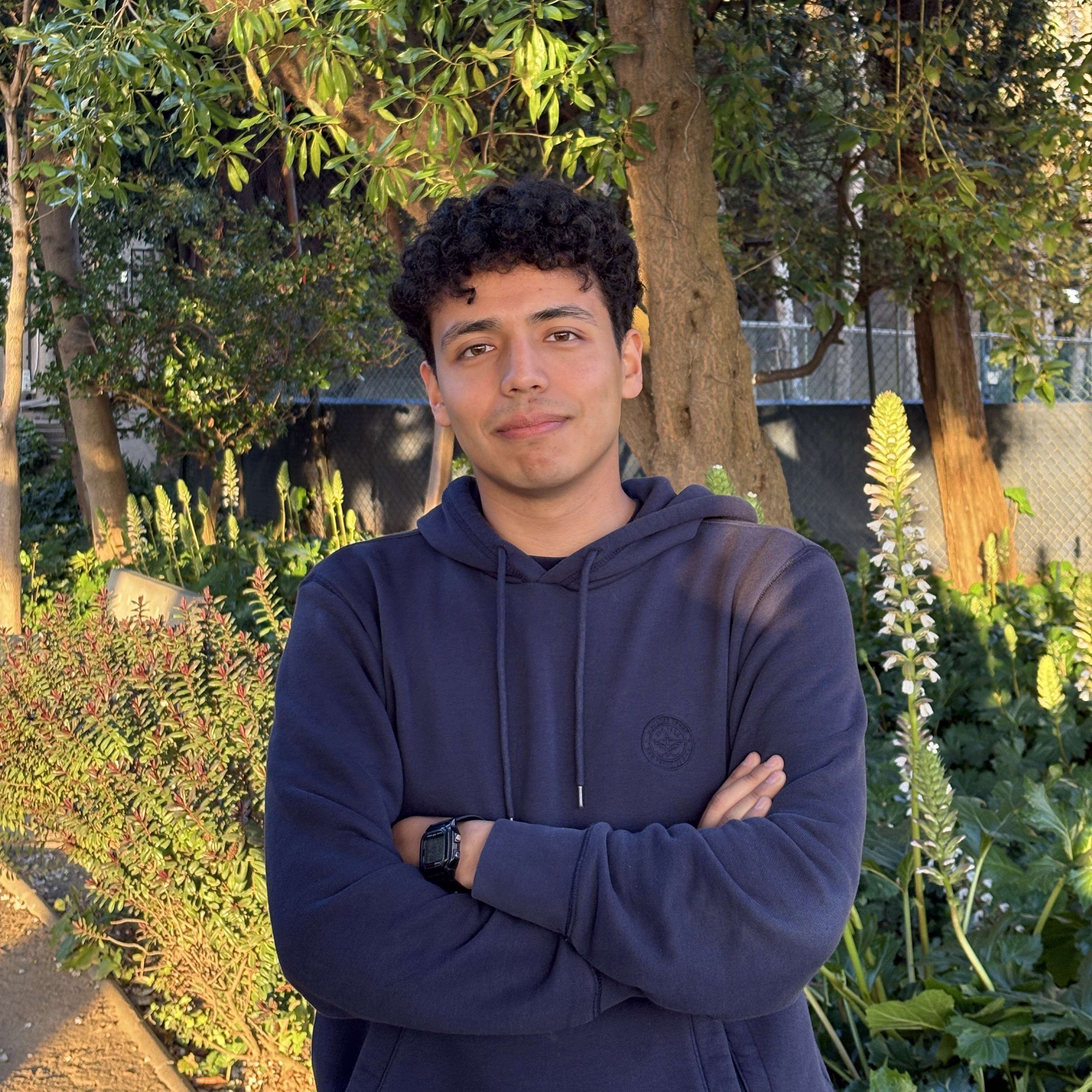 Alex Domínguez Montiel