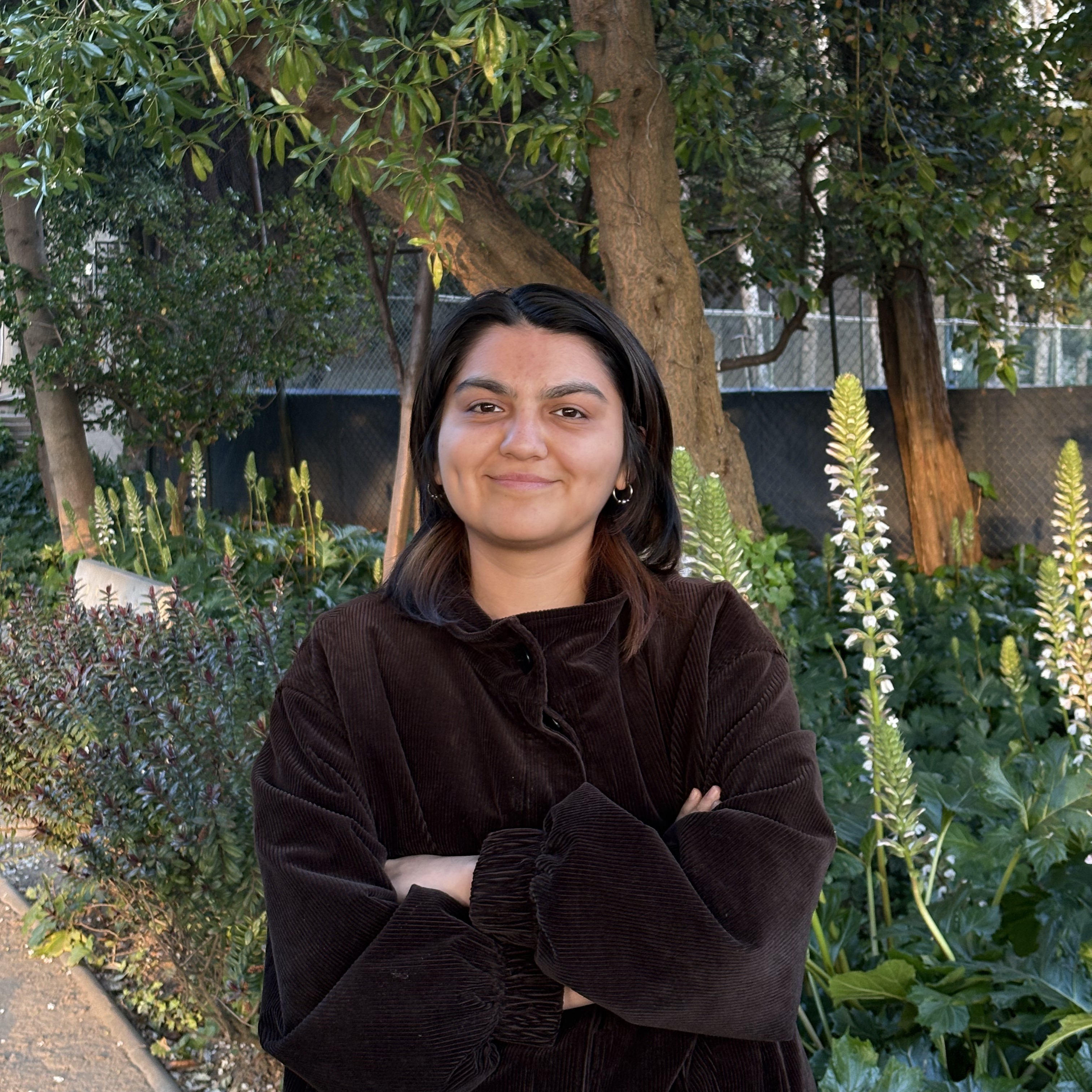 Catalina Yáñez Ardissoni